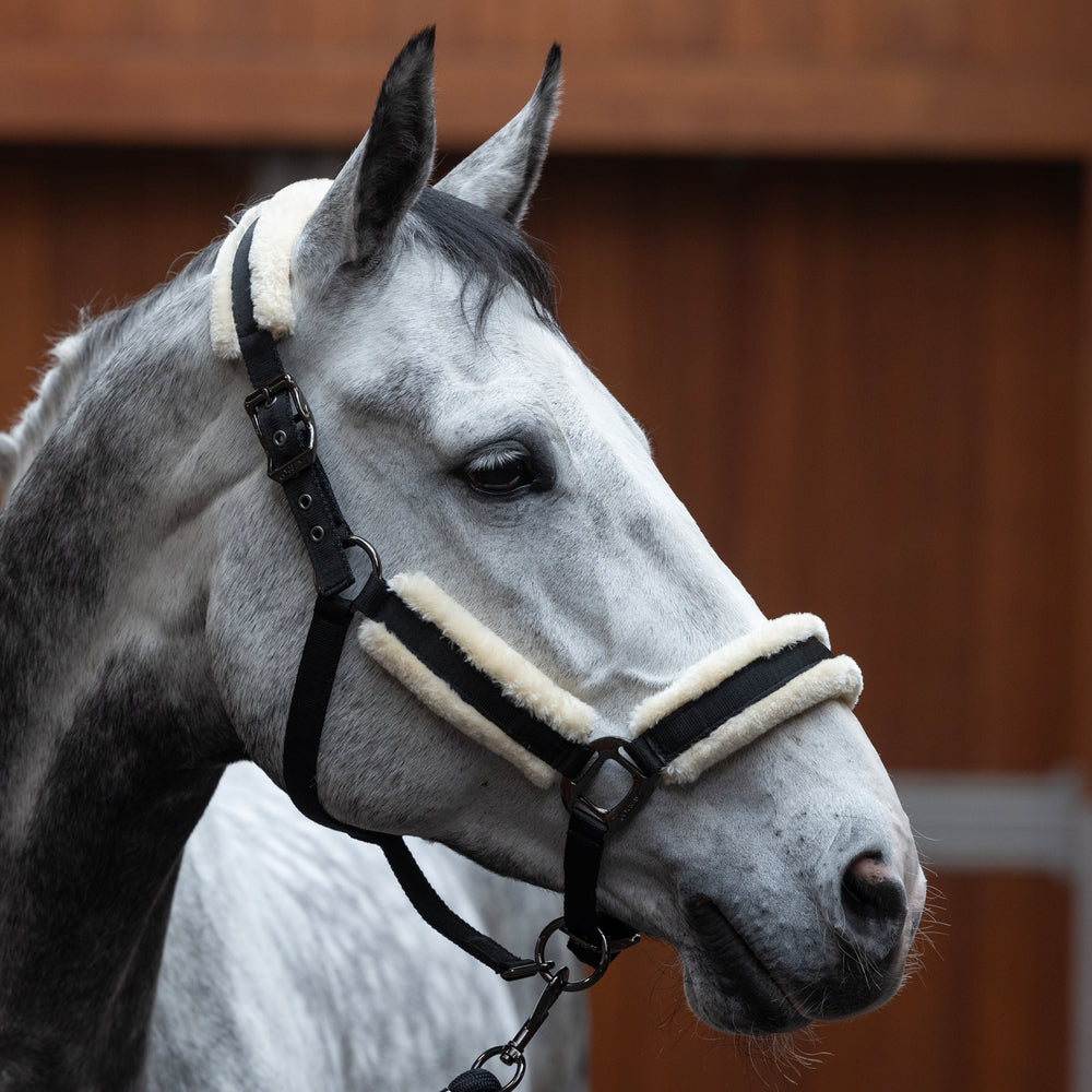 KLLexie Halfter aus Kunstfell