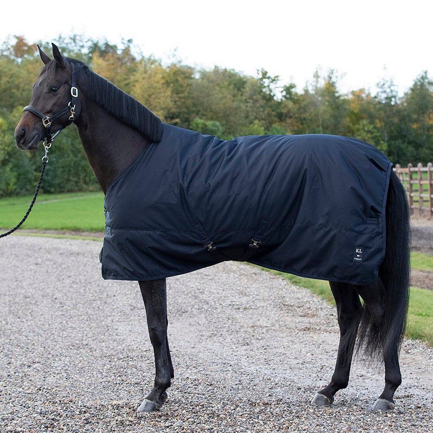 Kingsland Classic Top Notch Stalldecke, 200g