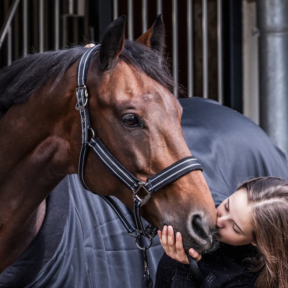 KLMona Halfter und Seil