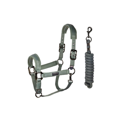 KLLucca Halfter und Seil