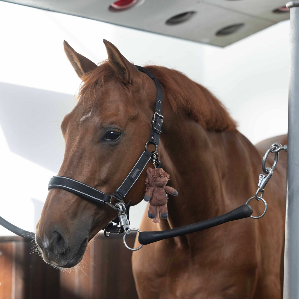 KLMonty Strickpferdchen