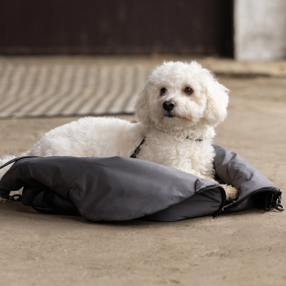 KLMacey Hundetasche mit Decke