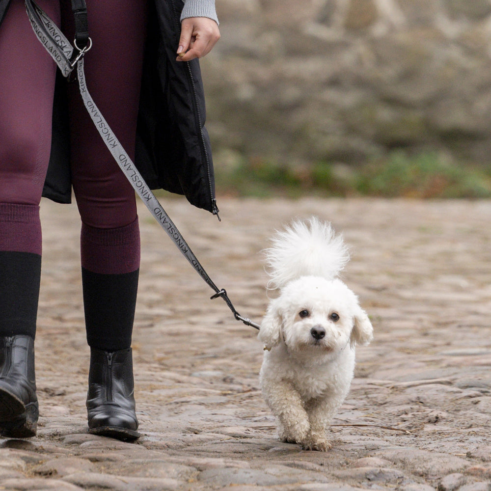 KLMacey Hundehalsband und ‑leine