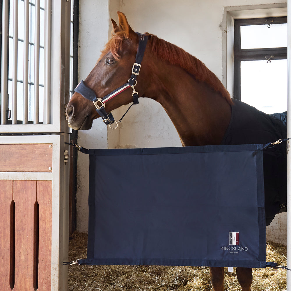 Kingsland Classic Stable Guard