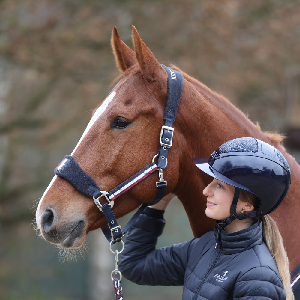 Kingsland Classic Halfter mit Vlies